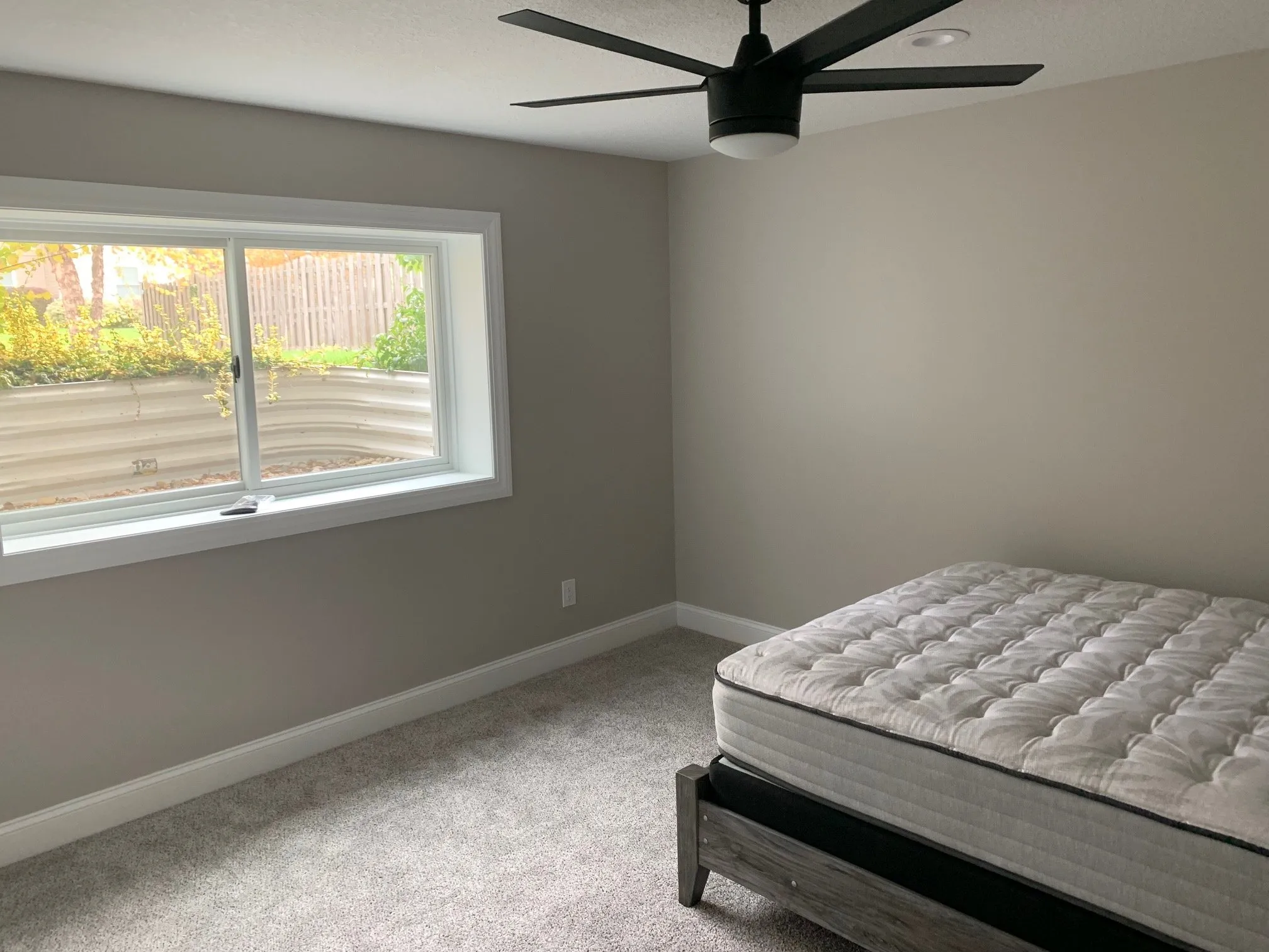 Basement bedroom with daylight window